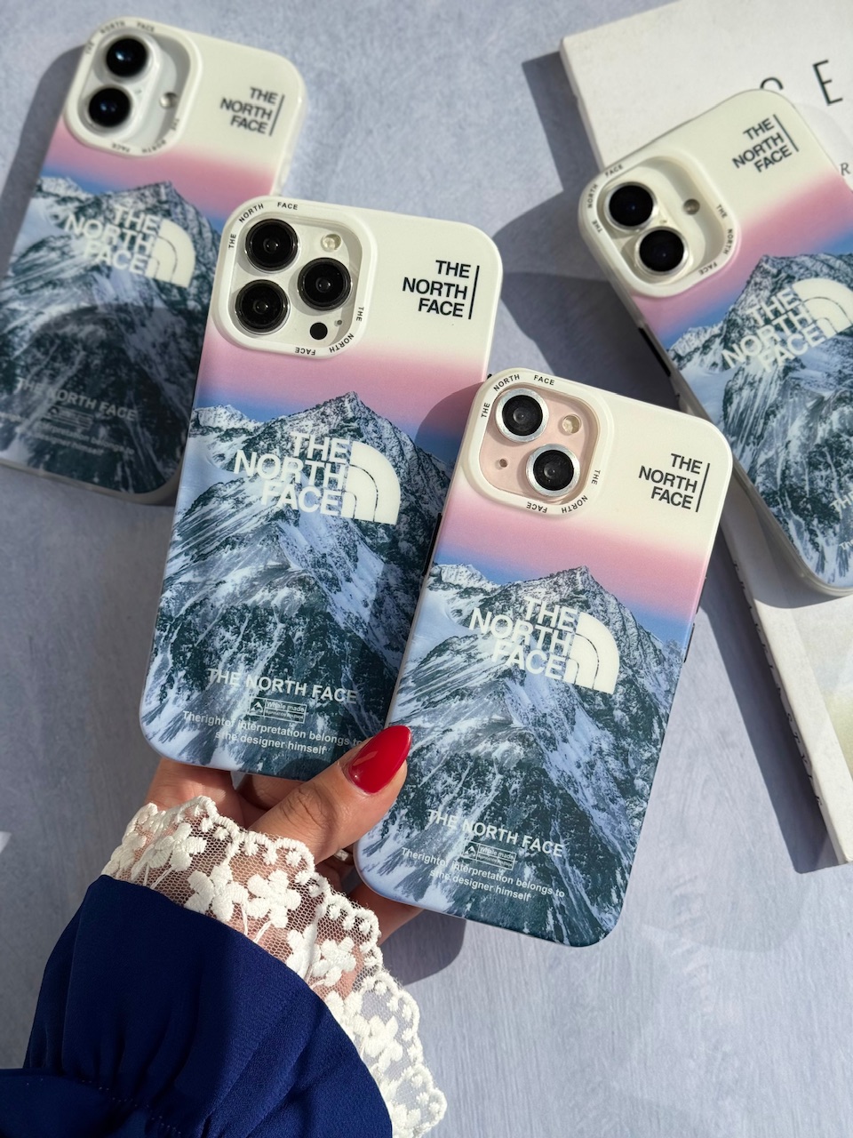 گارد آیفون The North Face : Alpine Mood